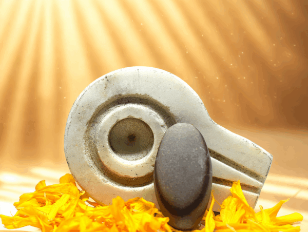 narmada rekha shivling