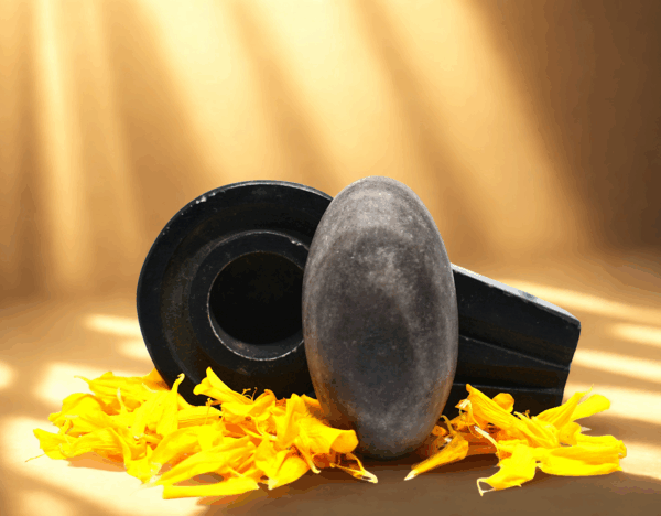 gambhīr narmadeshwar shivling