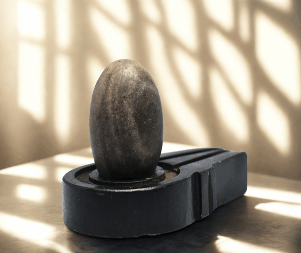 gambhīr narmadeshwar shivling