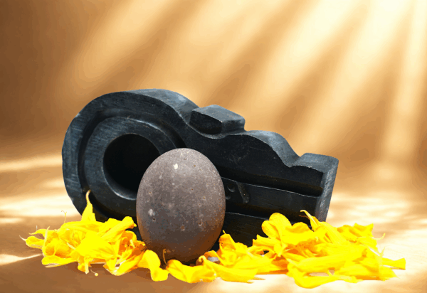 sthir narmada shivling