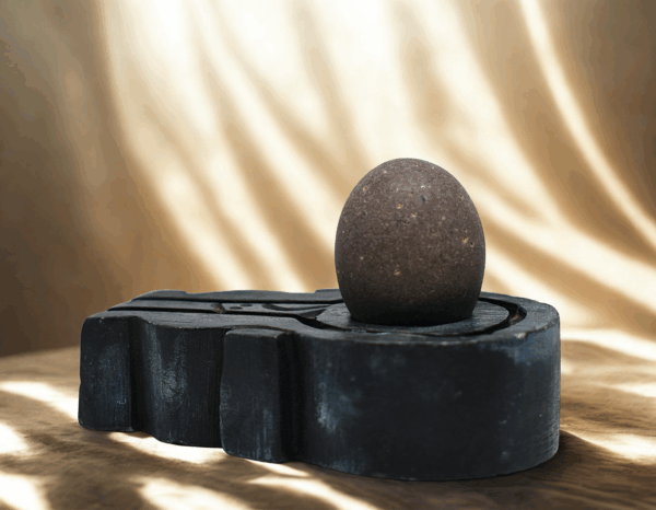 sthir narmada shivling