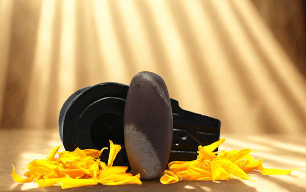 tapasvī narmada shivling