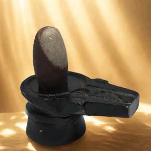 tapasvī narmada shivling