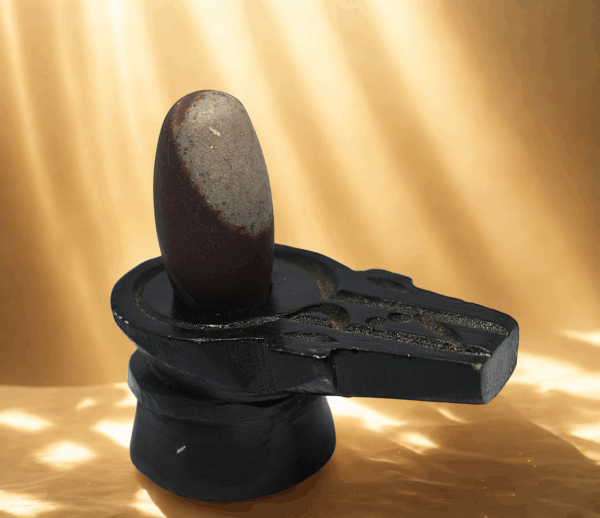 tapasvī narmada shivling