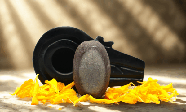 Ālok narmada shivling