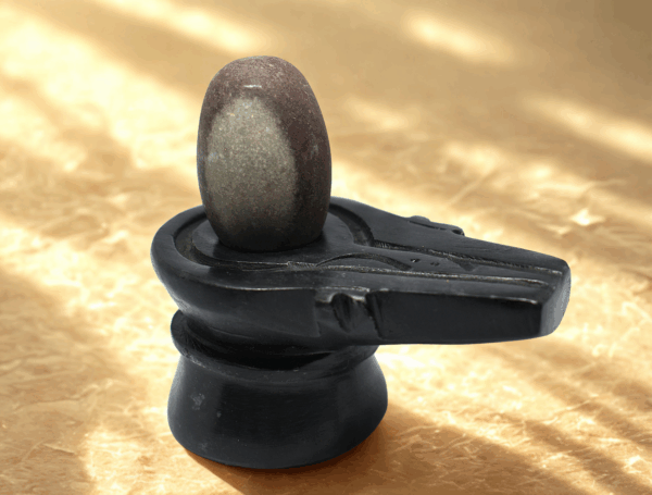 Ālok narmada shivling