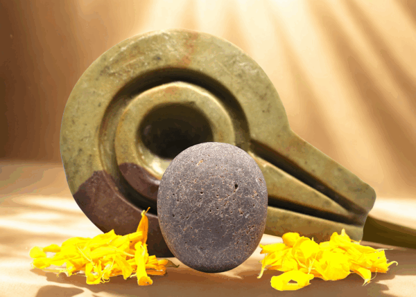 narmada pravāh shivling