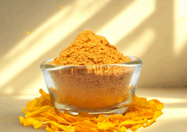 yellow tilak (pitambar tilak)