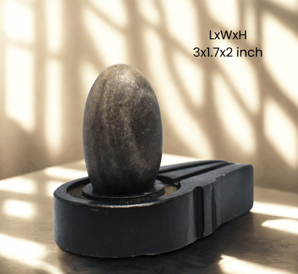 saumya narmadeshwar shivling