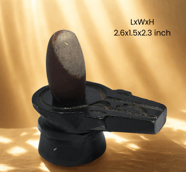 tapasvī narmada shivling