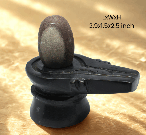 tapasvī narmada shivling