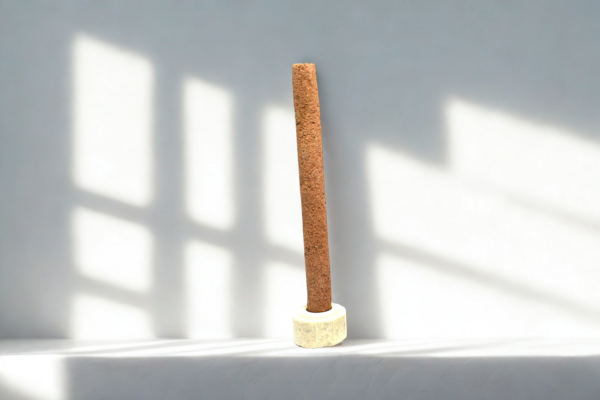 ashtagandha dhoop batti